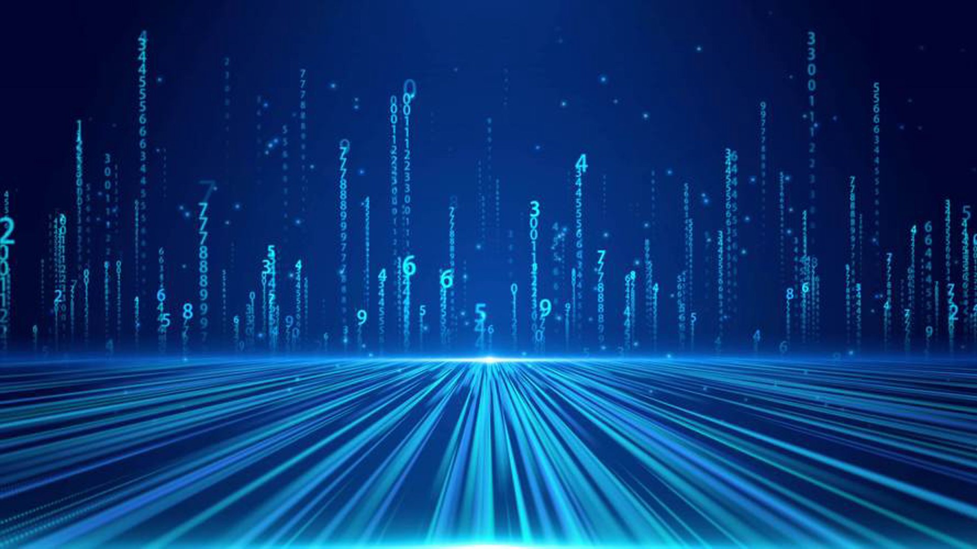 雅光网络科技